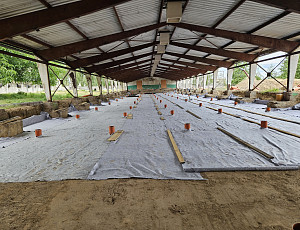 Rekonstrukce haly výkrmu prasat